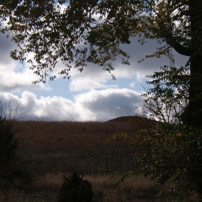 Late fall